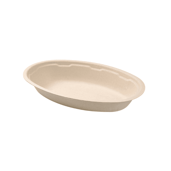 10″ Round Bagasse Plate (Alternative)