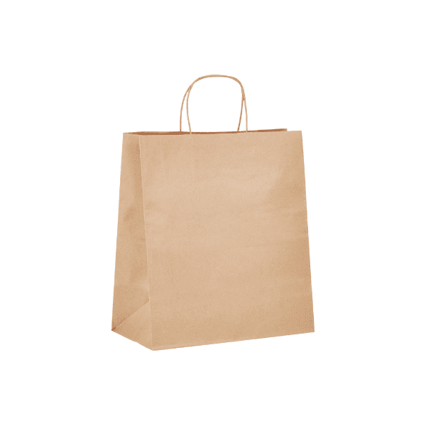 Twisted Handle Paper Bag